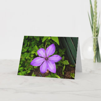 Carte de vœux fleur violette