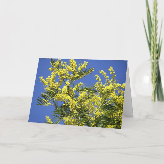 Carte de voeux : fleurs de mimosa (Devant)