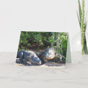 Carte de voeux Floride Gator Crossing
