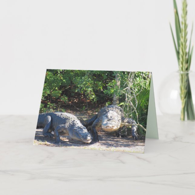 Carte de voeux Floride Gator Crossing (Devant)
