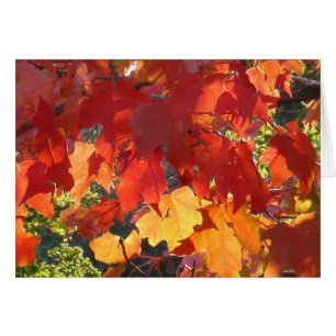 Carte de voeux Foliage d'automne
