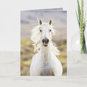 Carte de voeux Freedom's Call Wild Horse
