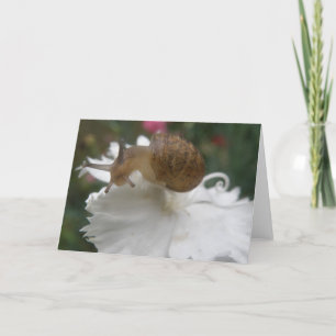 Carte de voeux Garden Snail et White Carnation