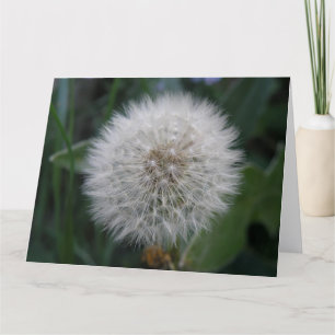 Carte de voeux géante Dandelion