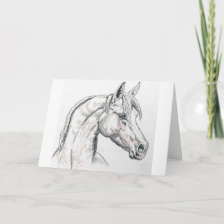 Carte de voeux générique de cheval Arabe