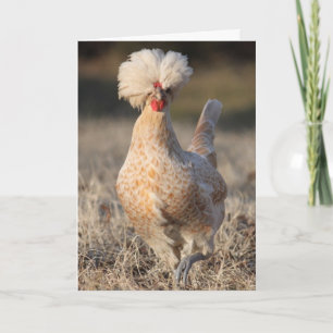 Carte de voeux géniale de poulet