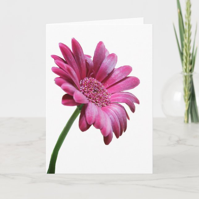 Carte de voeux Gerbera Daisy (Devant)