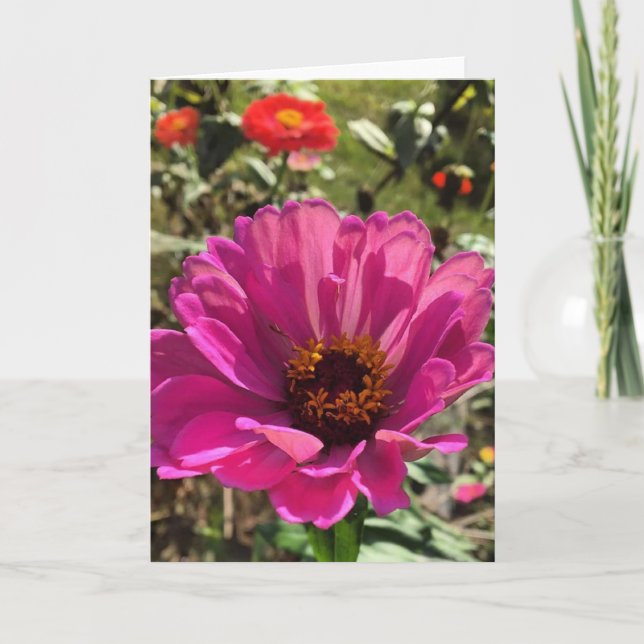 carte de voeux gerbera (vide à l'intérieur) (Devant)