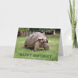 Carte de voeux Giant Tortoise