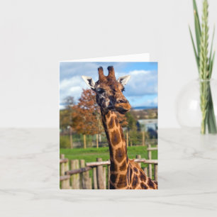 Carte de vœux girafe