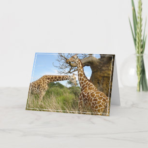 Carte de voeux Giraffes