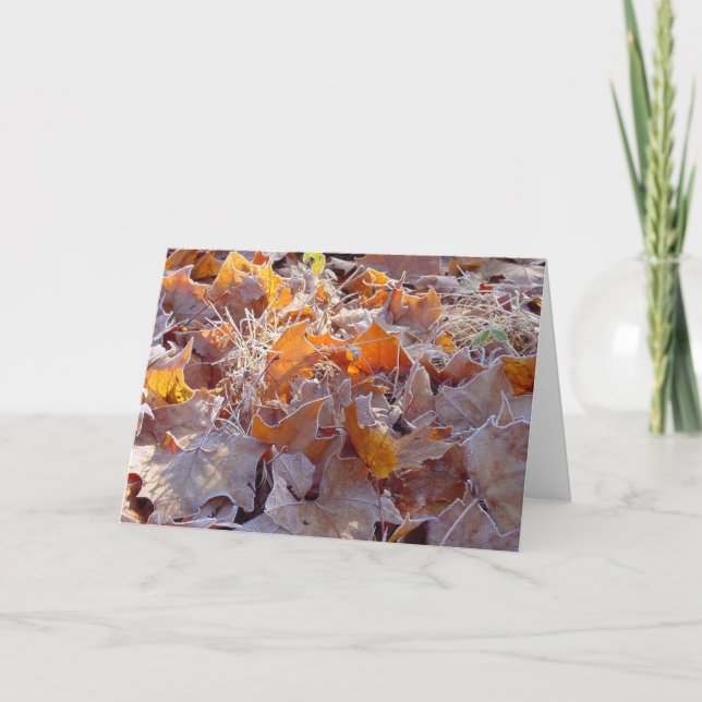 Carte de voeux givrée de vacances de feuille (Devant)