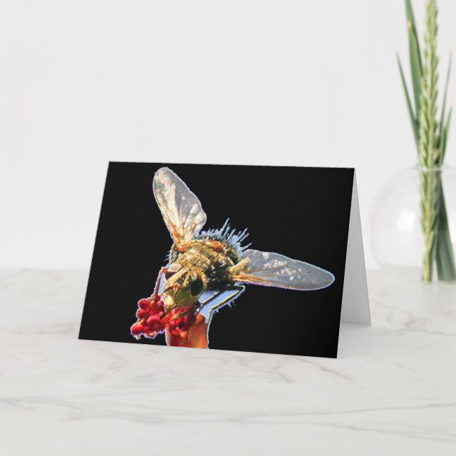 Carte de voeux Golden Bee Blank (Devant)