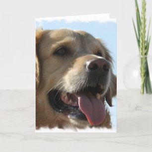 Carte de voeux Golden Retriever