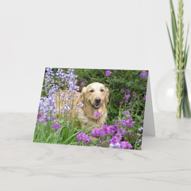 Carte de voeux Golden Retriever en fleurs (Devant)