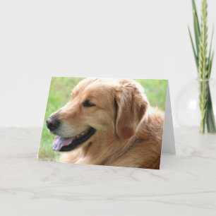 Carte de voeux Golden Retriever Pup