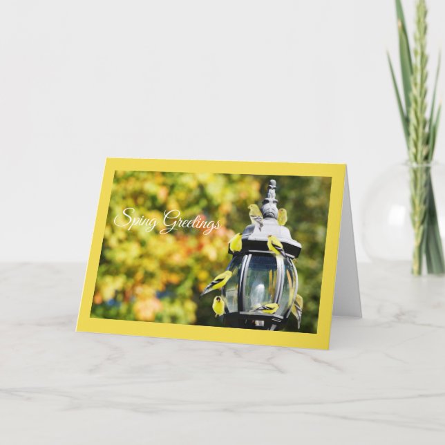 Carte de voeux Goldfinch (Devant)