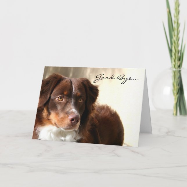 Carte de voeux Good Bye Australian shepherd (Devant)