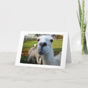 Carte de voeux Goofy Llama Blank