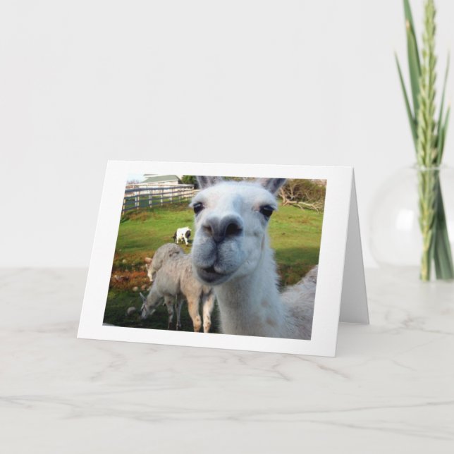 Carte de voeux Goofy Llama Blank (Devant)