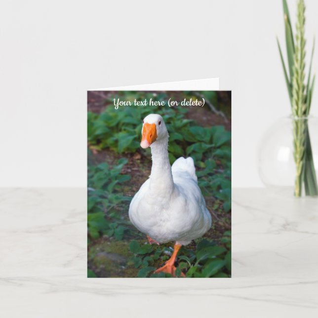 Carte de voeux Goose (Devant)