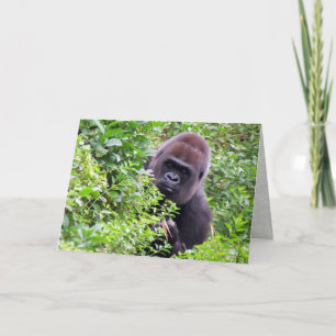 Carte de voeux Gorilla