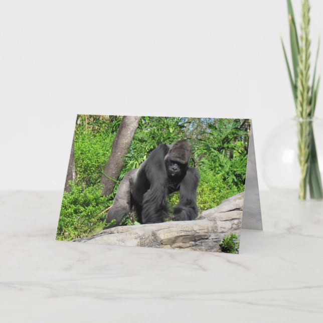 Carte de voeux Gorilla (0536) (Devant)