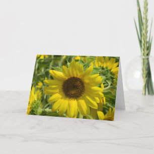 Carte de vœux Grande Tournesol