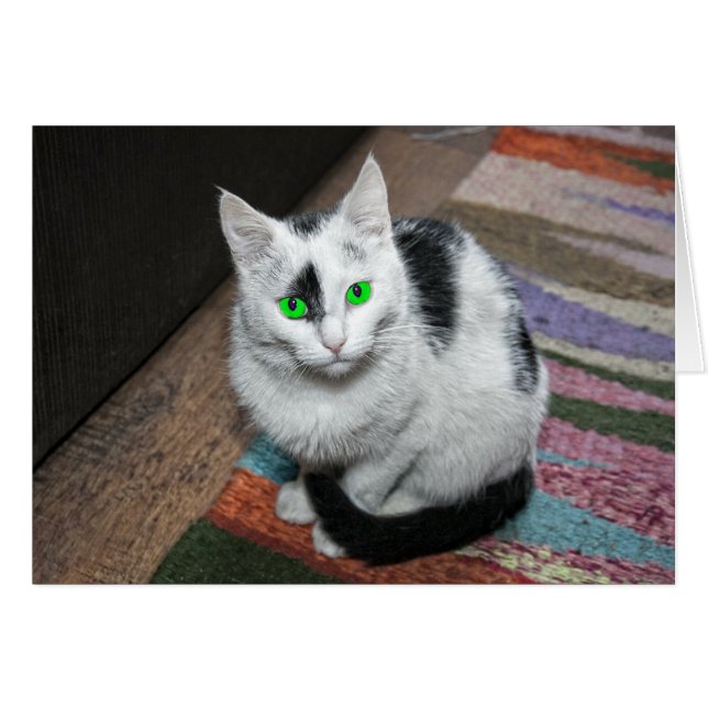 Carte de voeux Green Eyed Cat (Devant horizontal)