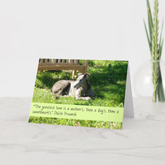 Carte de voeux Greyhound