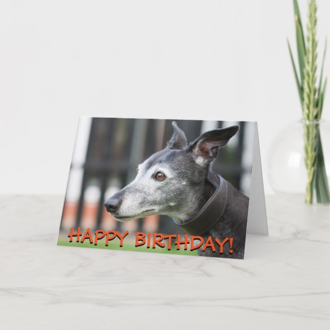 Carte de voeux Greyhound (Devant)