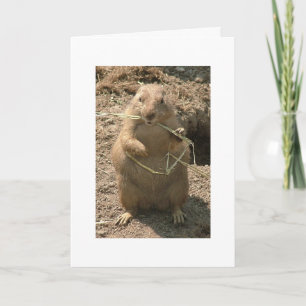 Carte de voeux Grinning Groundhog