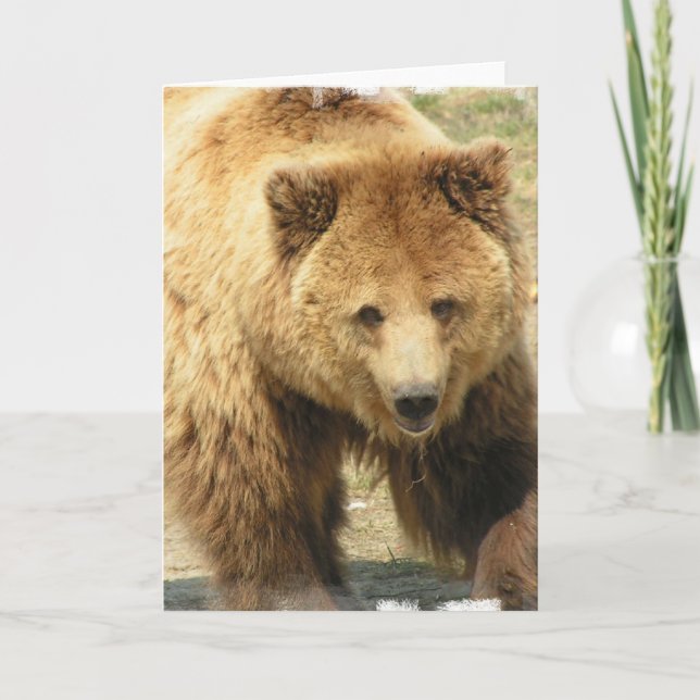Carte de voeux Grizzly Bear (Devant)