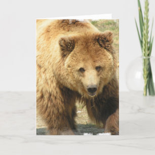 Carte de voeux Grizzly Bear