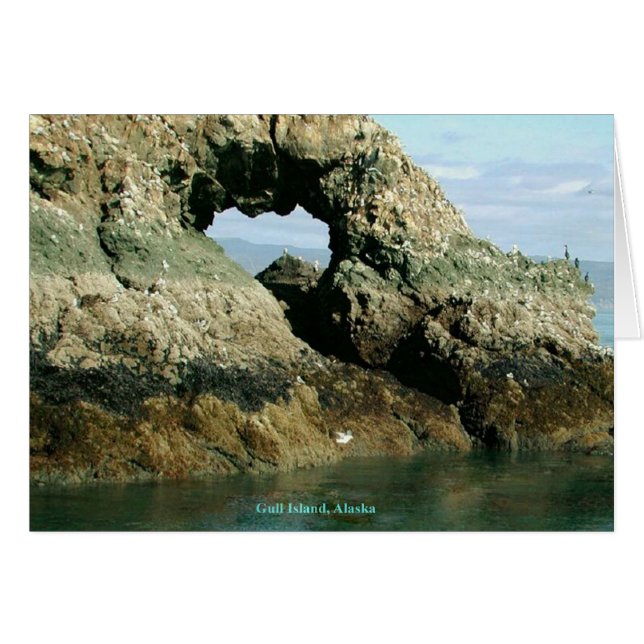 Carte de voeux Gull Island Alaska (Devant Horizontal)