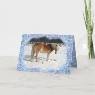 Carte de voeux Haflinger Horse Holiday
