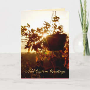 Carte de voeux Hanging Garden Sun Twinkle
