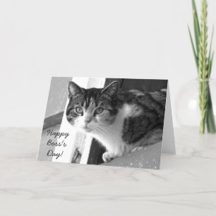 Carte de voeux Happy Boss's Day Cat