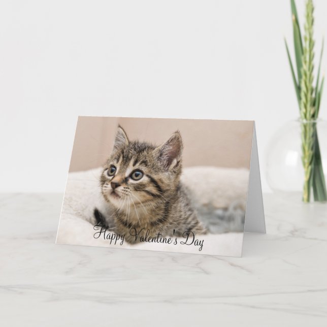 Carte de vœux Happy Valentine's Day chaton tigré (Devant)