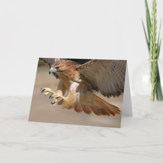 Carte de voeux Hawk (Devant)