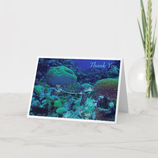 Carte de voeux Hawksbill Sea Turtle (Devant)