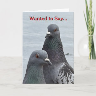 Carte de voeux HELLO "Dual Pigeons"
