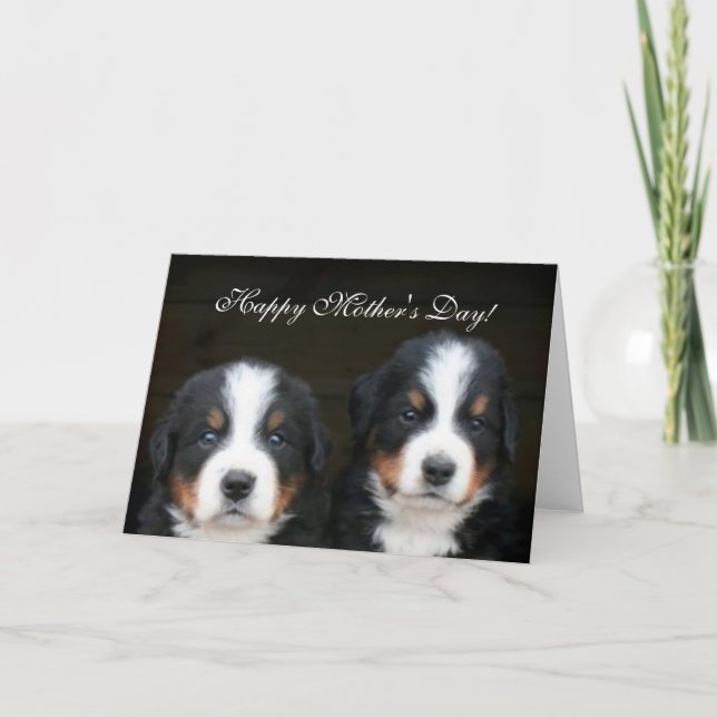 Carte de voeux heureuse de chiots de Bernese du (Devant)