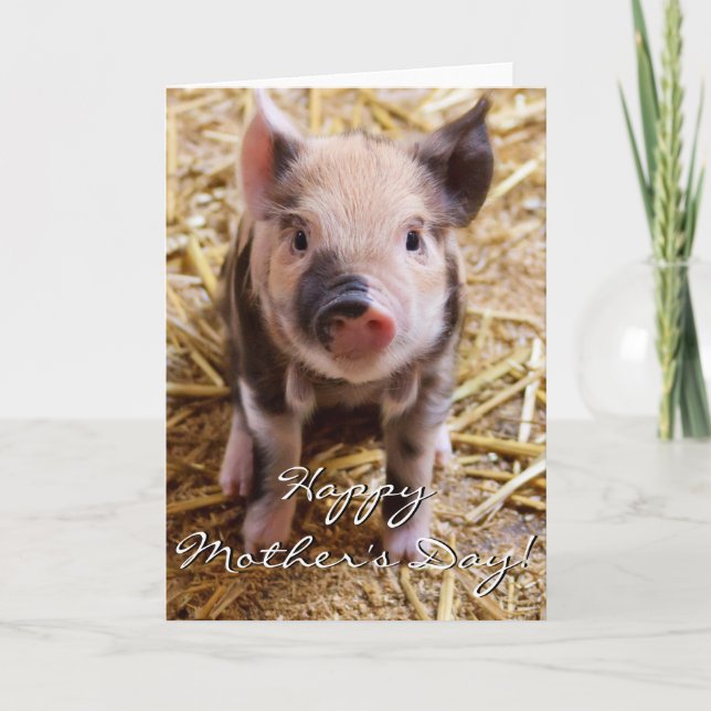 Carte de voeux heureuse de porcelet du jour de (Devant)