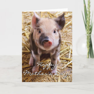 Carte de voeux heureuse de porcelet du jour de