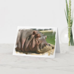 Carte de voeux Hippopotamus