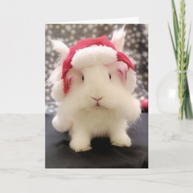 Carte de voeux Hoppy Holidays (Devant)