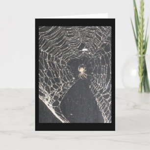 Carte de voeux House Spider