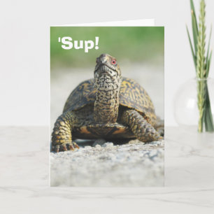 Carte de voeux humoristique de la tortue-boîte