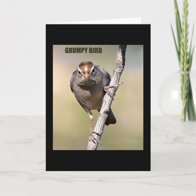 Carte de voeux humoristique pour oiseaux (Devant)